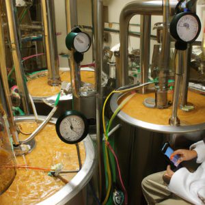 Person monitoring beer fermentation process